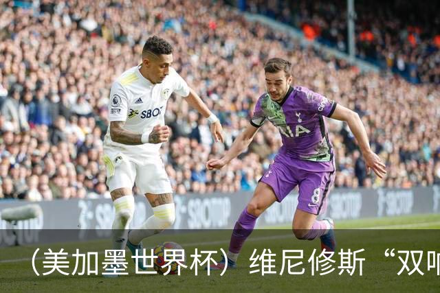 （美加墨世界杯）维尼修斯“双响”助巴西头名晋级 摩洛哥4：2胜海地
